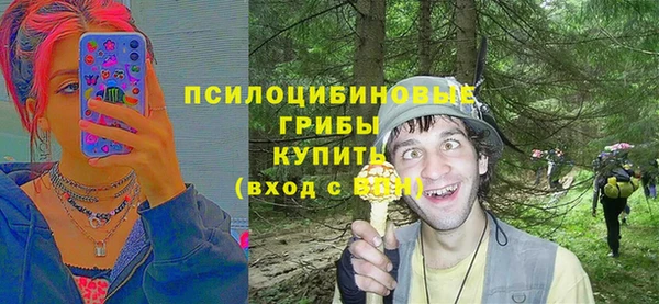 спайс Алексин