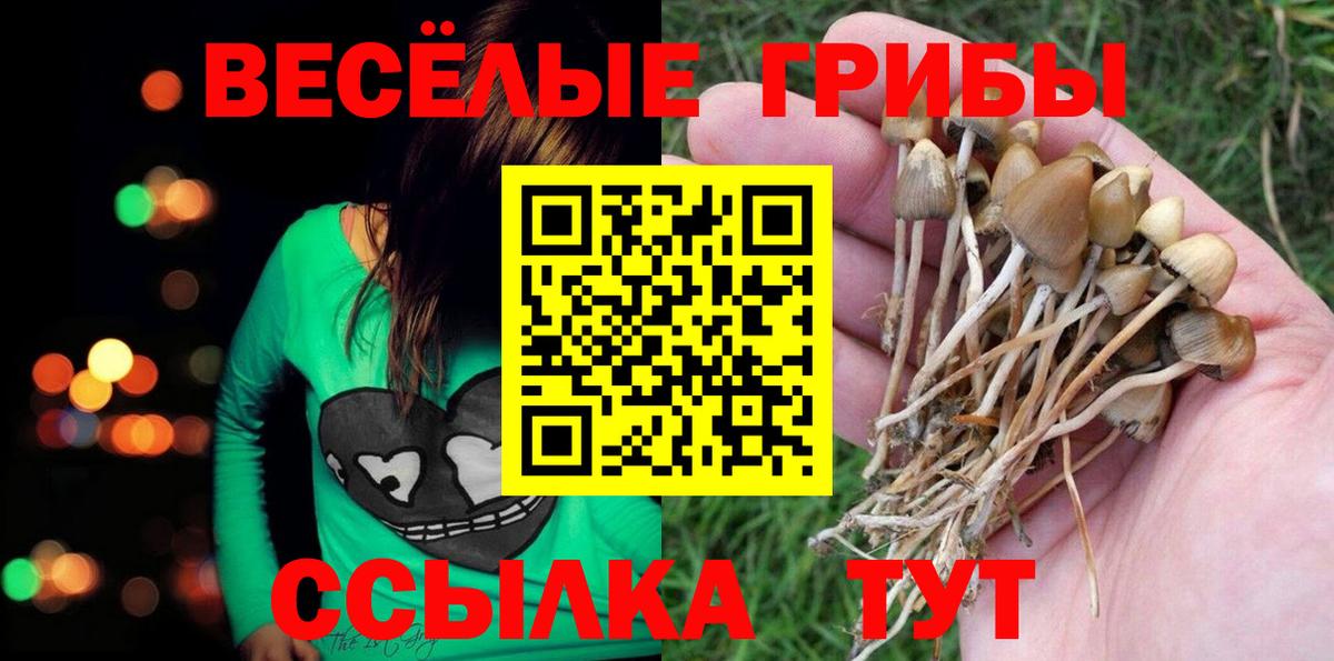 Туймазы  Псилоцибиновые грибы Psilocybe  Вход с VPN 